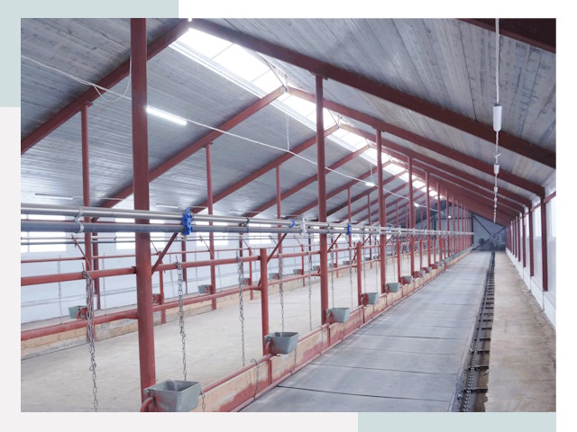 Строительство коровников в Самаре от 606 руб.