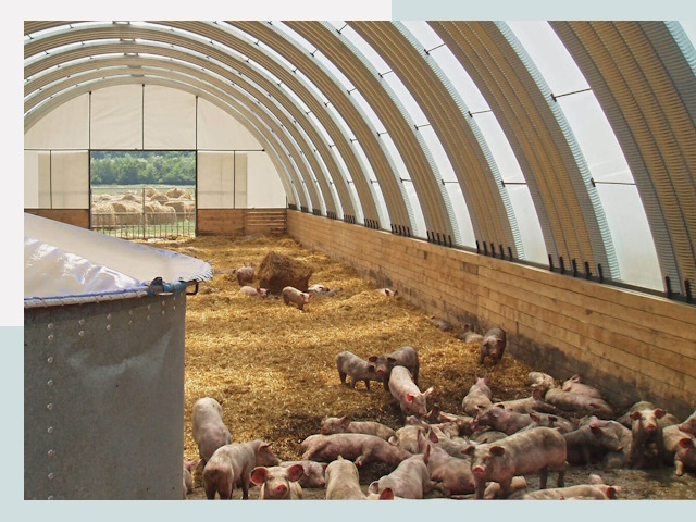 Строительство свинарников в Самаре